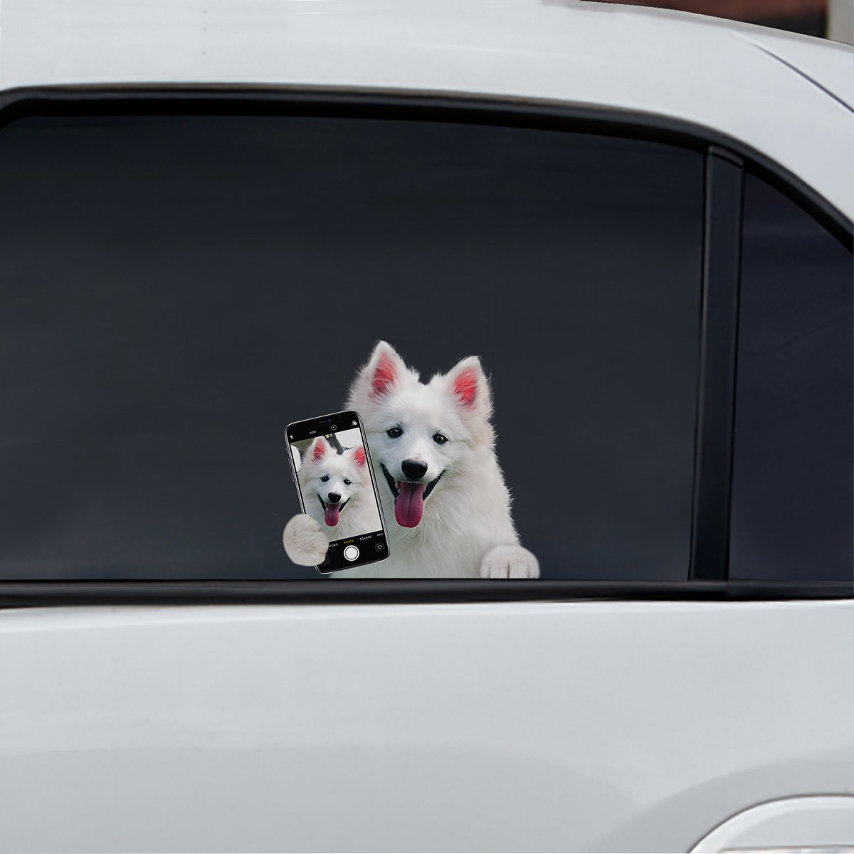 Do You Like My Selfie - American Eskimo Car/ Door/ Fridge/ Laptop Sticker V1