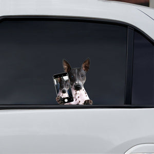 Do You Like My Selfie - American Hairless Terrier Car/ Door/ Fridge/ Laptop Sticker V1