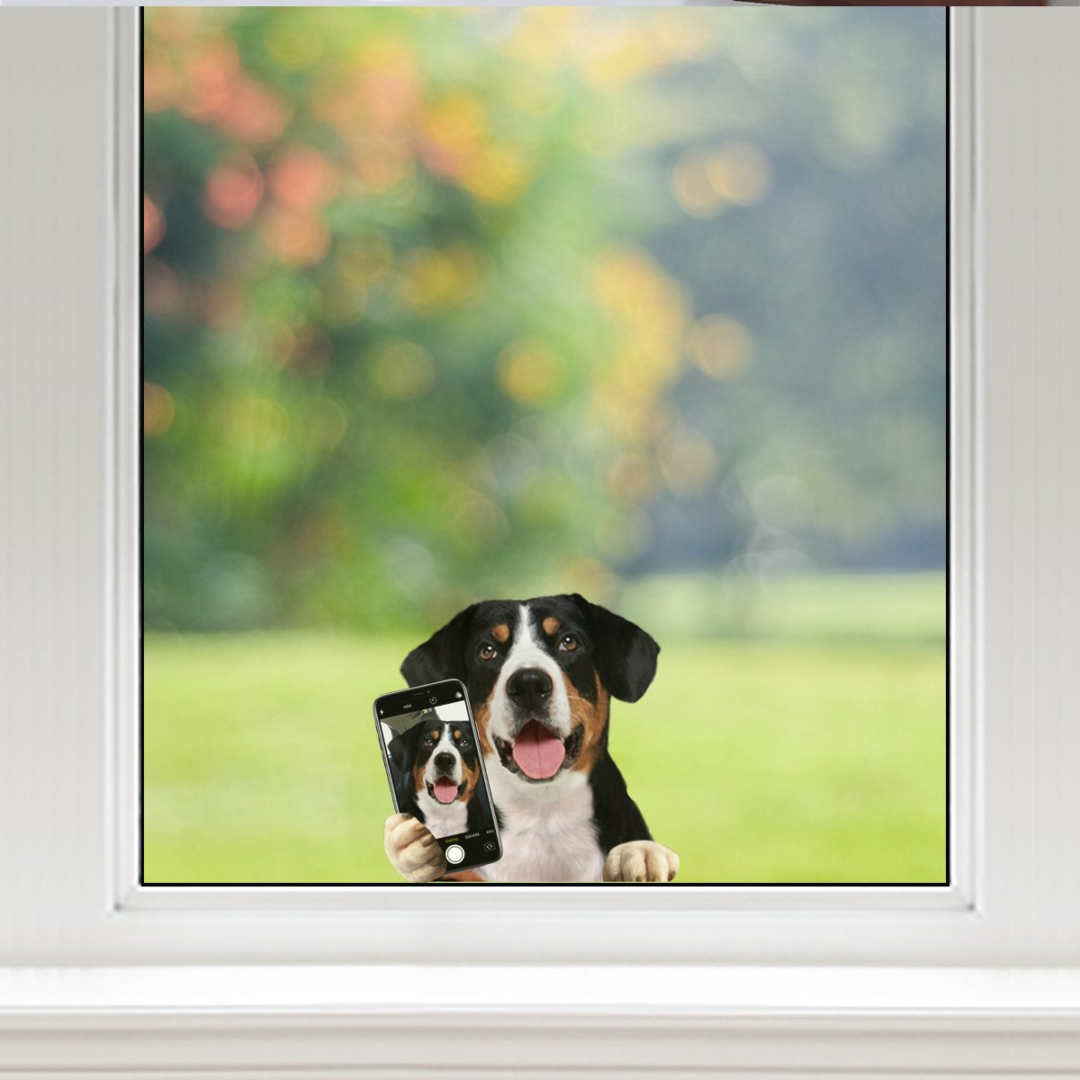 Do You Like My Selfie - Appenzeller Sennenhund Car/ Door/ Fridge/ Laptop Sticker V1