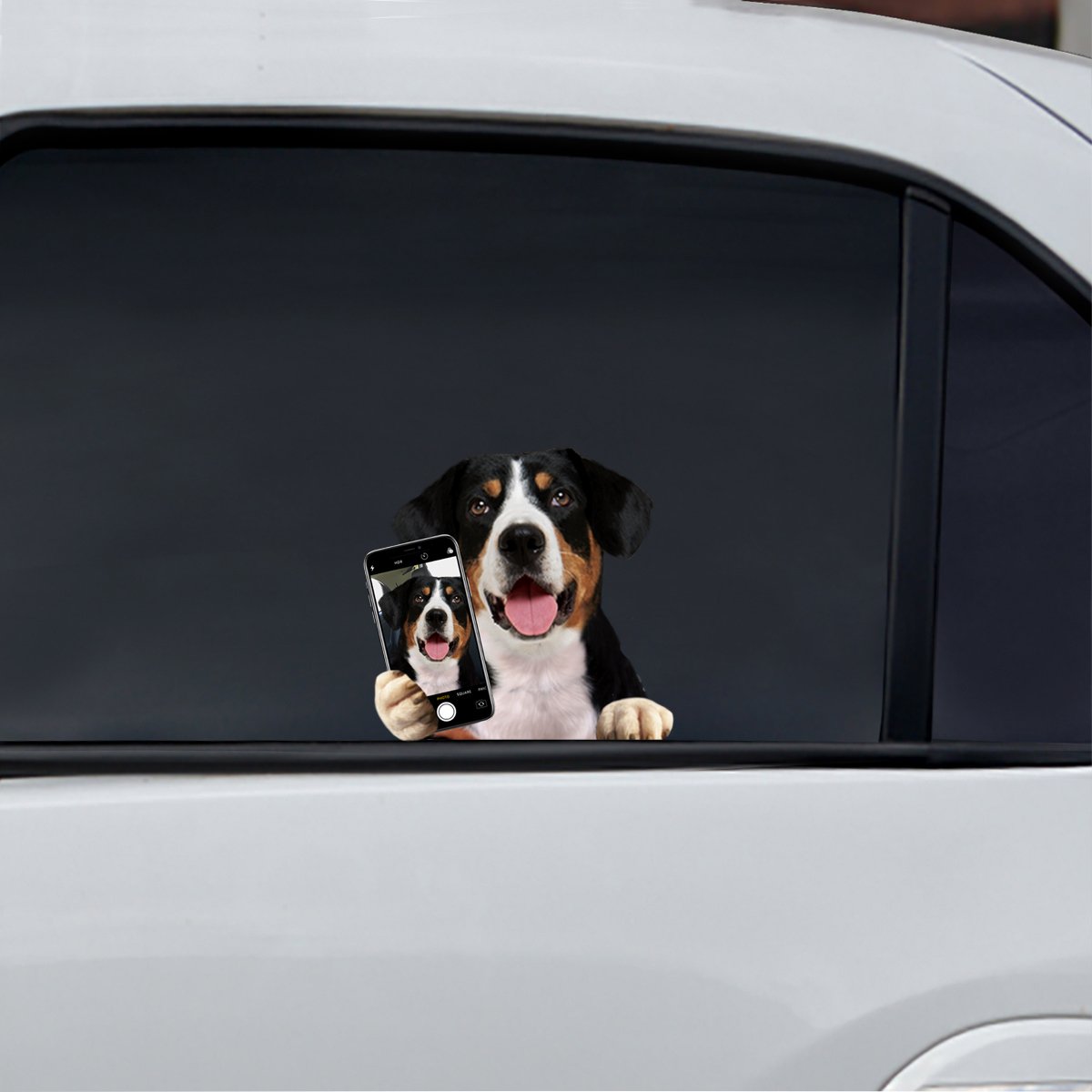 Do You Like My Selfie - Appenzeller Sennenhund Car/ Door/ Fridge/ Laptop Sticker V1