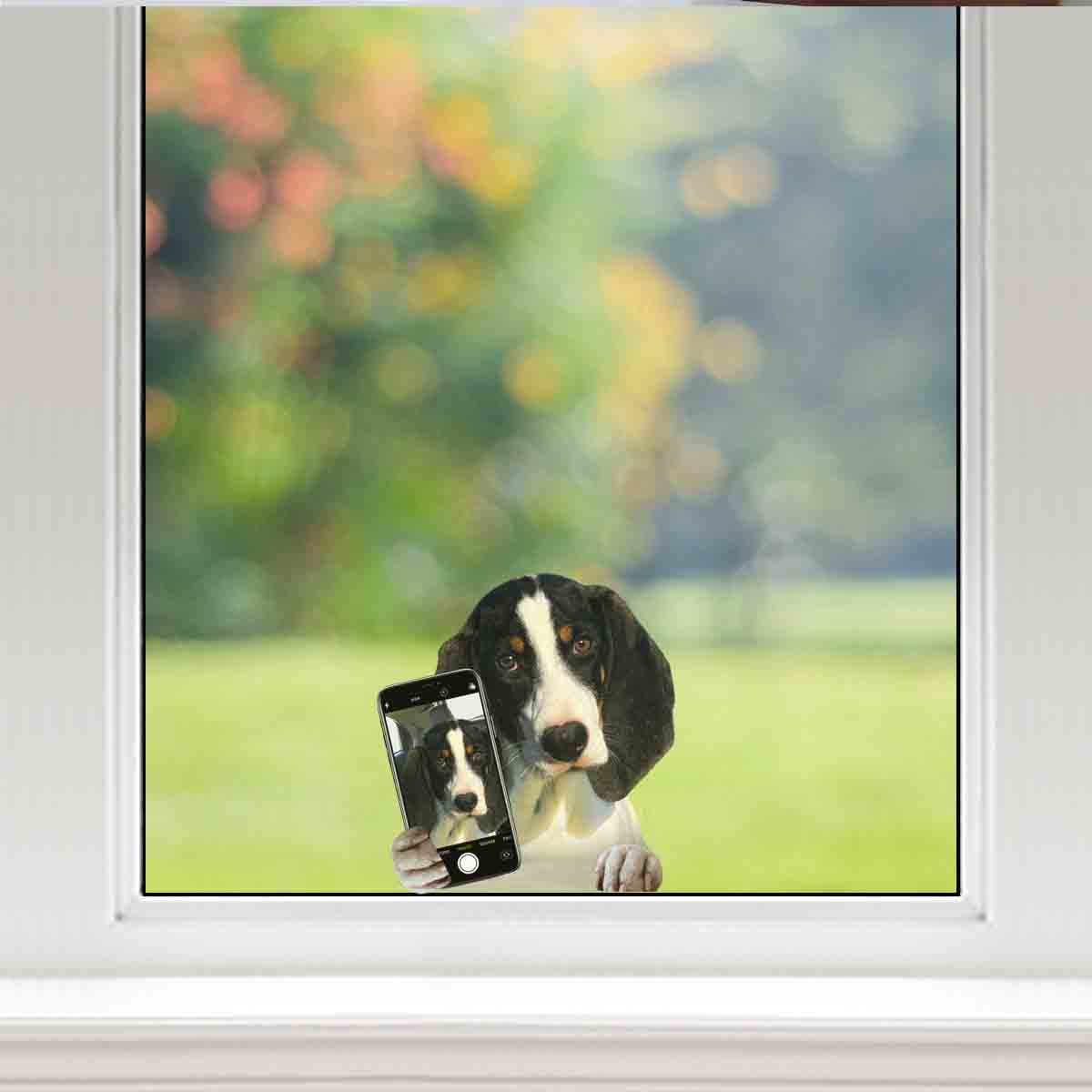 Do You Like My Selfie - Ariegeois Car/ Door/ Fridge/ Laptop Sticker V1