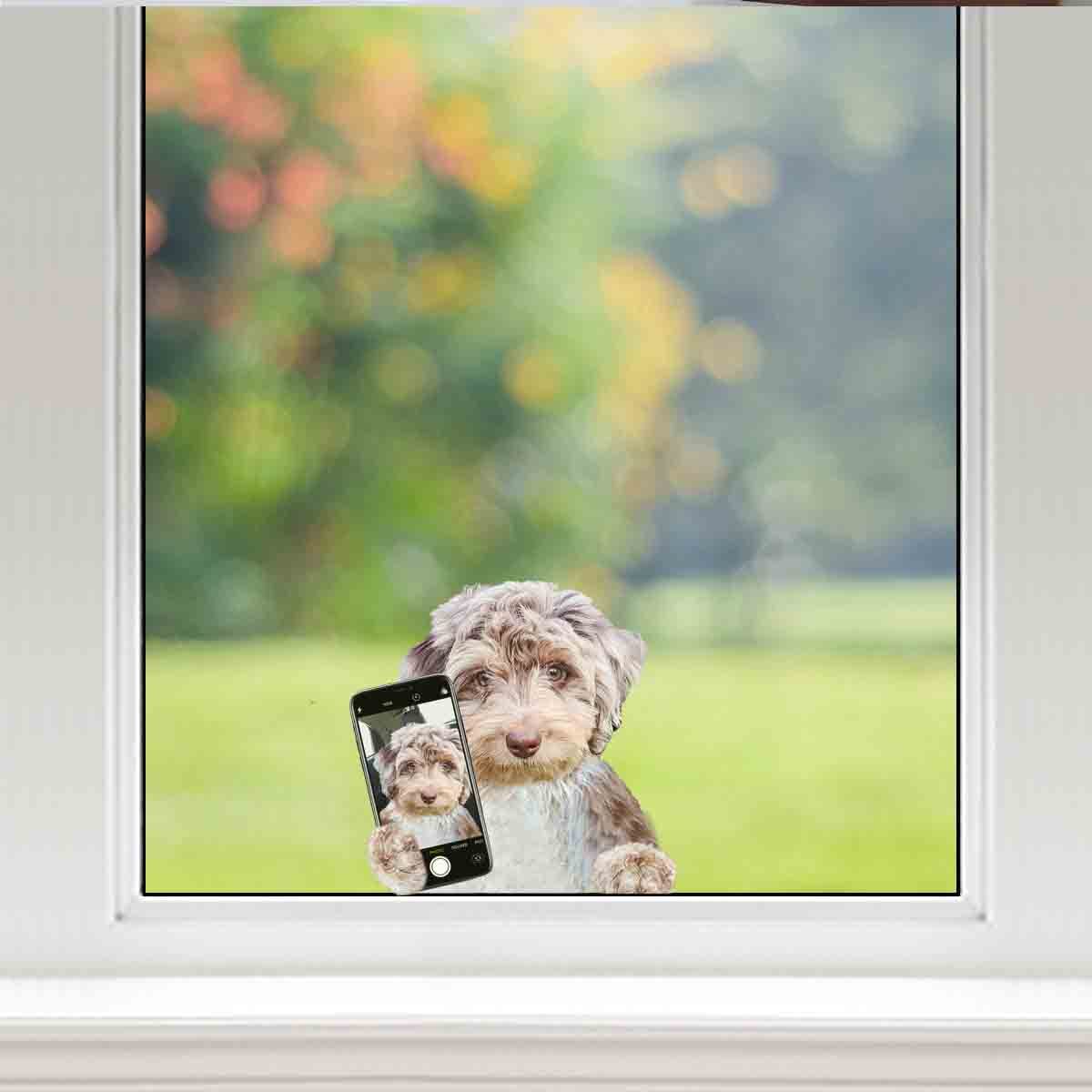 Do You Like My Selfie - Aussiedoodle Car/ Door/ Fridge/ Laptop Sticker V1