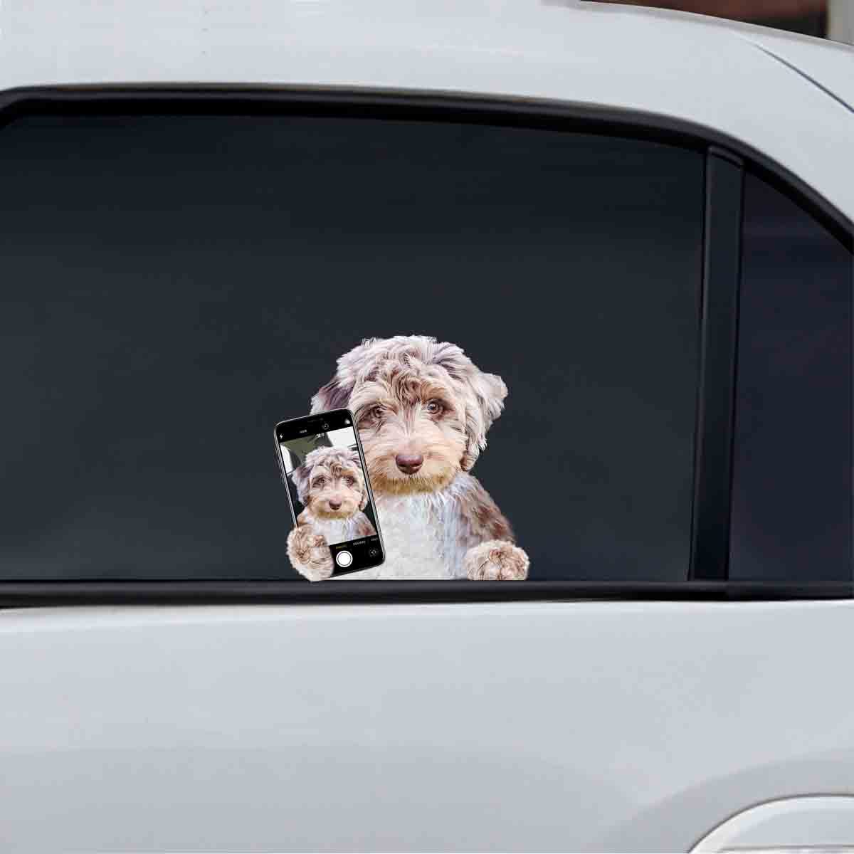 Do You Like My Selfie - Aussiedoodle Car/ Door/ Fridge/ Laptop Sticker V1