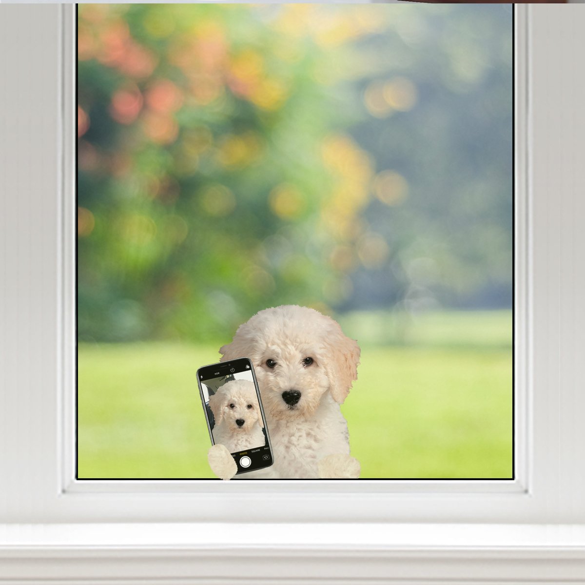 Do You Like My Selfie - Australian Doodle Car/ Door/ Fridge/ Laptop Sticker V1