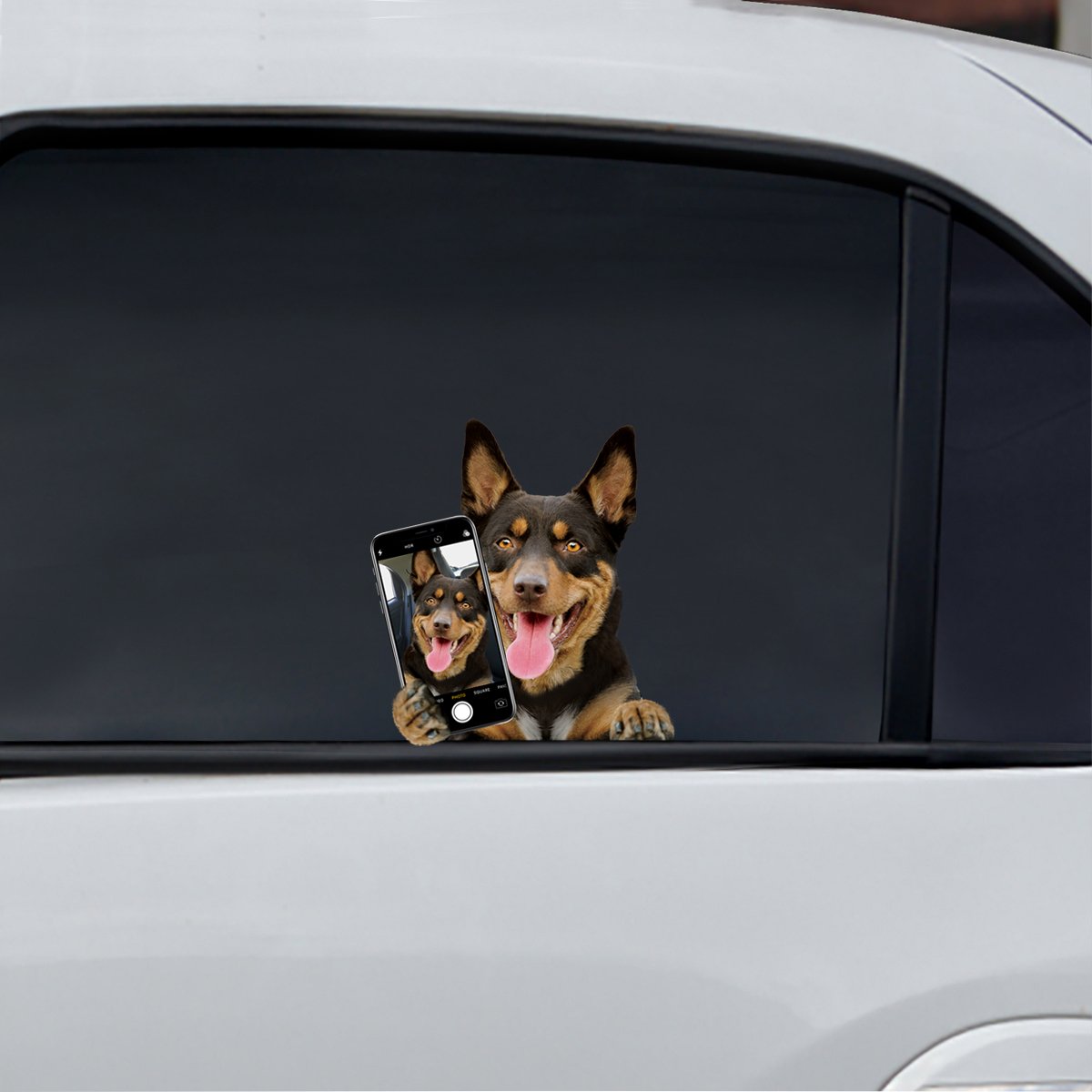 Do You Like My Selfie - Australian Kelpie Car/ Door/ Fridge/ Laptop Sticker V1