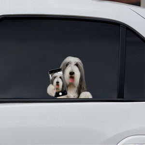 Do You Like My Selfie - Bearded Collie Car/ Door/ Fridge/ Laptop Sticker V1