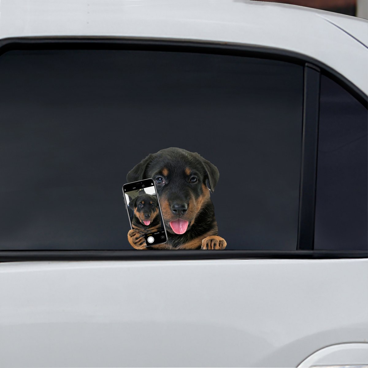 Do You Like My Selfie - Beauceron Car/ Door/ Fridge/ Laptop Sticker V1