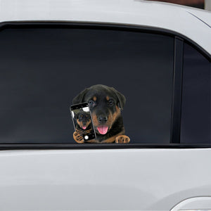 Do You Like My Selfie - Beauceron Car/ Door/ Fridge/ Laptop Sticker V1