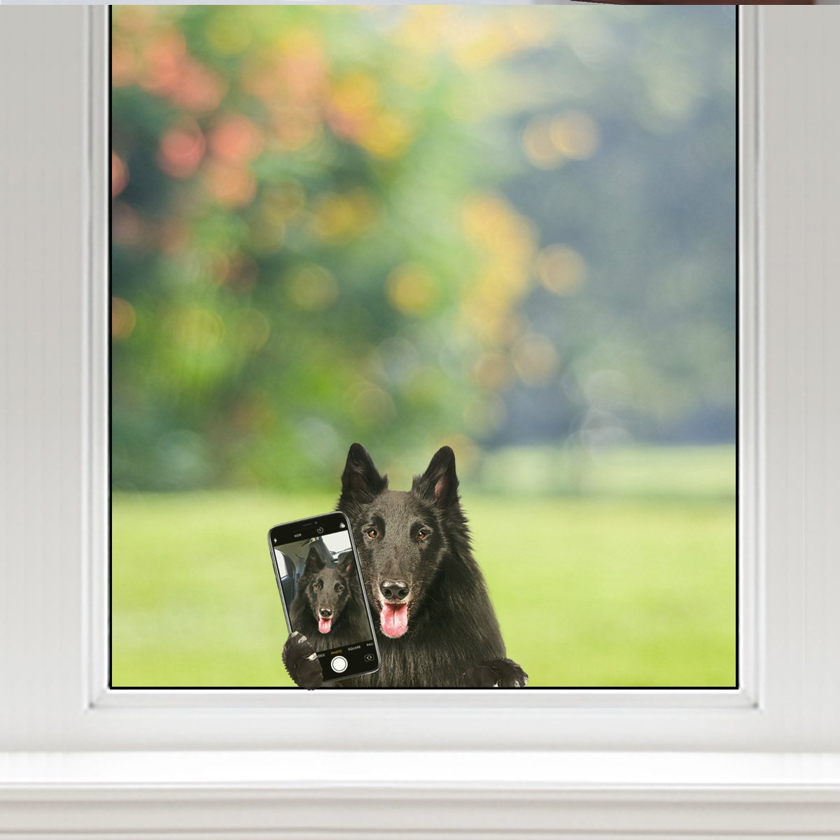 Do You Like My Selfie - Belgian Shepherd Car/ Door/ Fridge/ Laptop Sticker V1