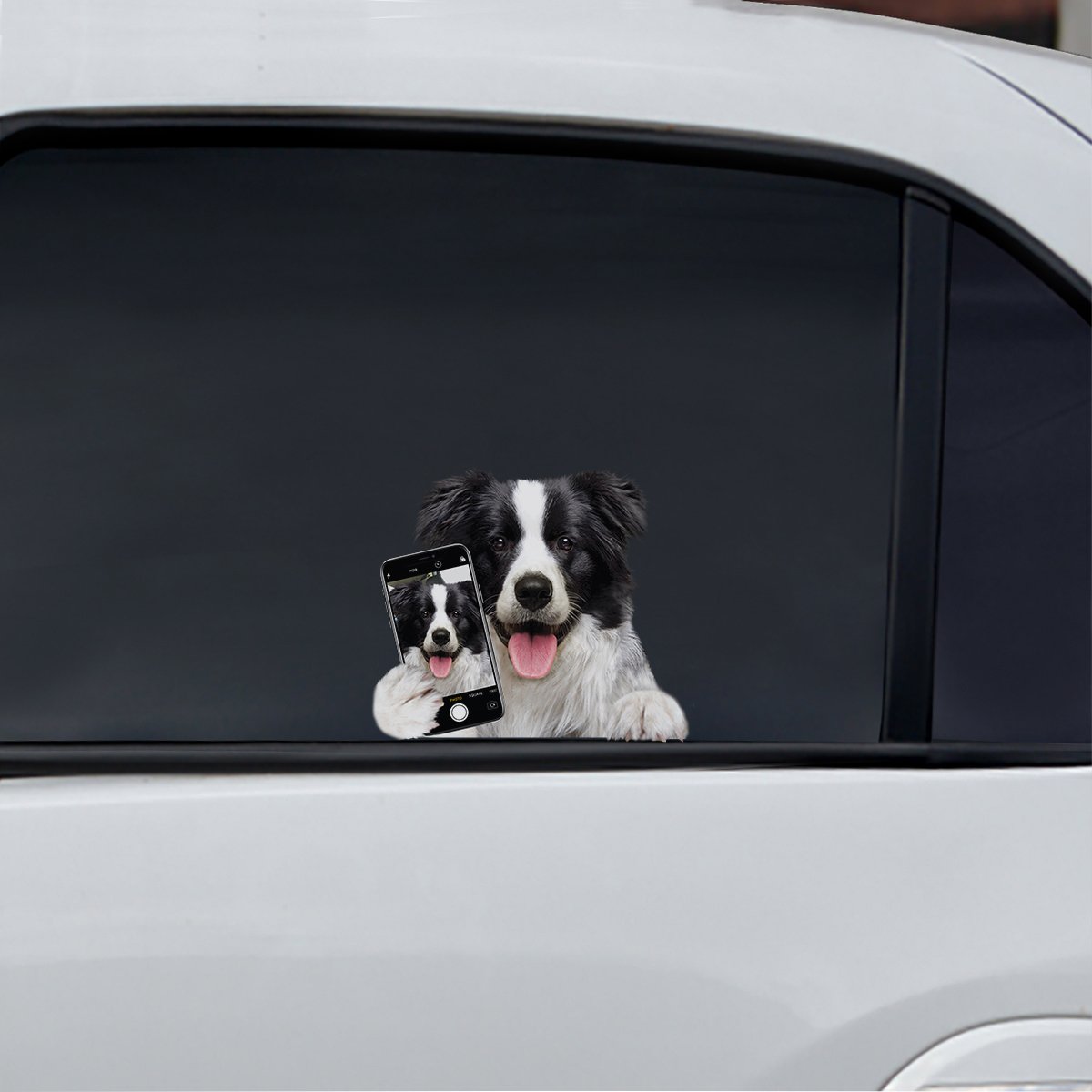 Do You Like My Selfie - Border Collie Car/ Door/ Fridge/ Laptop Sticker V1