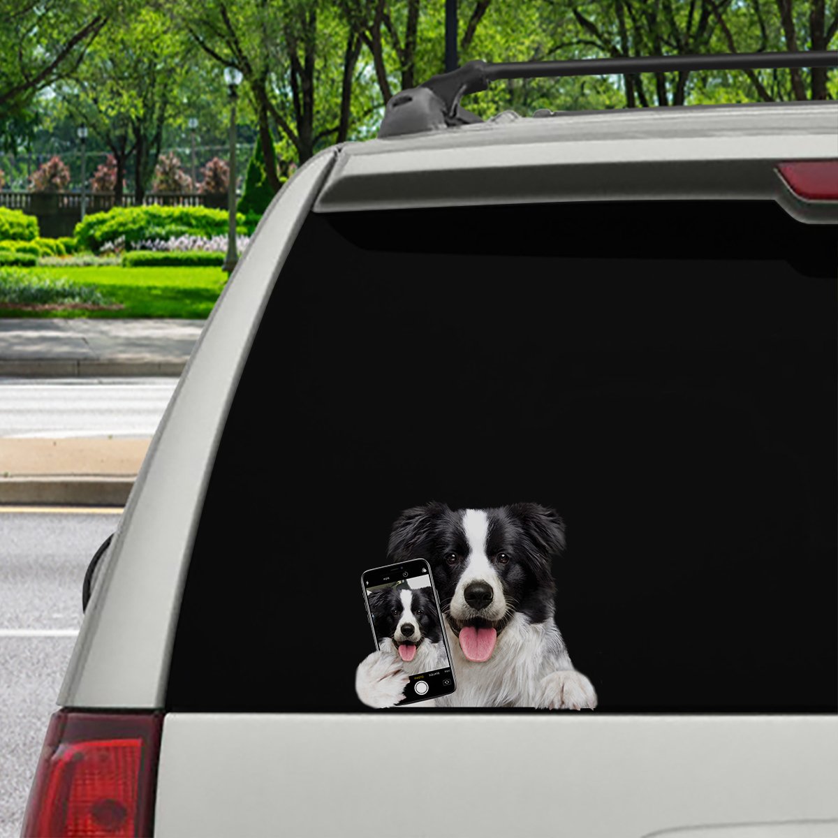 Do You Like My Selfie - Border Collie Car/ Door/ Fridge/ Laptop Sticker V1