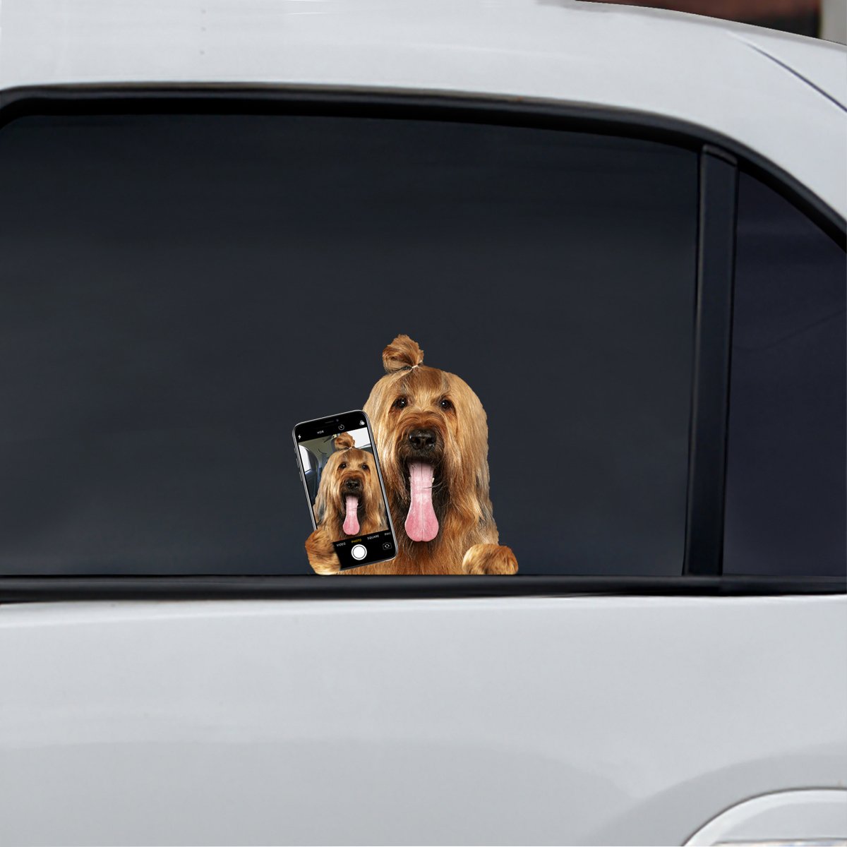 Do You Like My Selfie - Briard Car/ Door/ Fridge/ Laptop Sticker V1