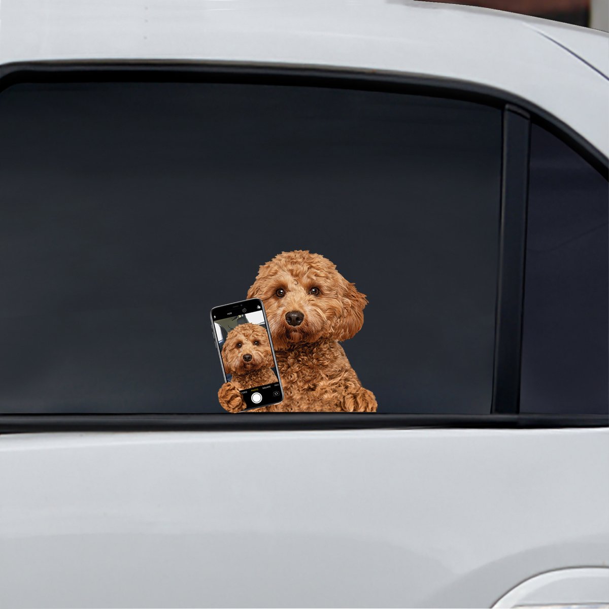Do You Like My Selfie - Cavapoo Car/ Door/ Fridge/ Laptop Sticker V1