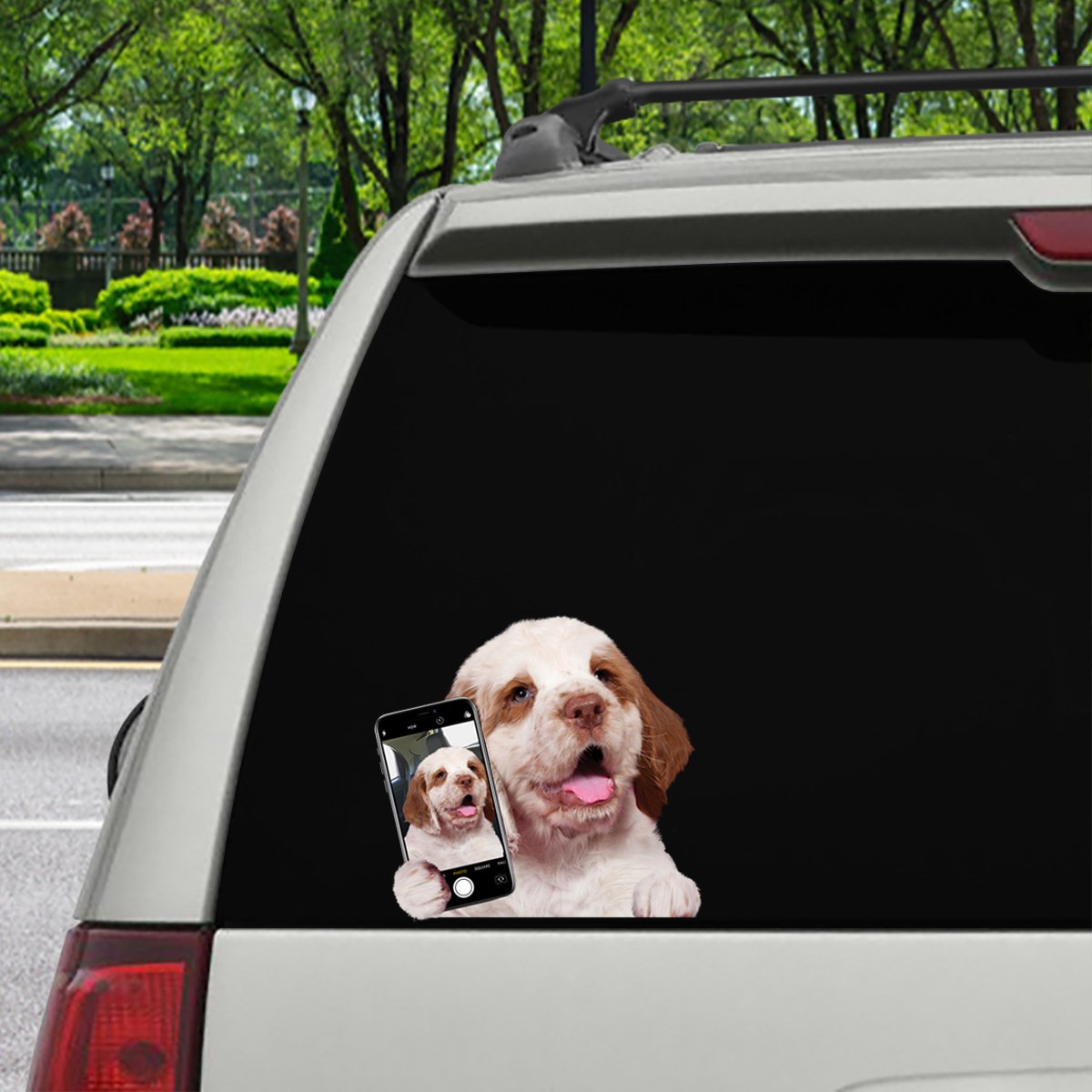 Do You Like My Selfie - Clumber Spaniel Car/ Door/ Fridge/ Laptop Sticker V1