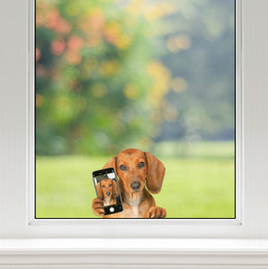 Do You Like My Selfie - Dachshund Car/ Door/ Fridge/ Laptop Sticker V1