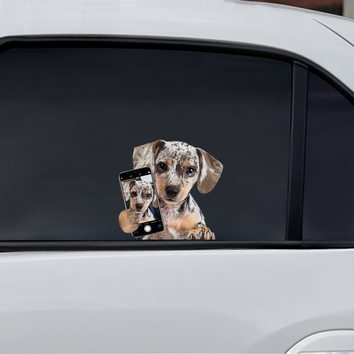 Do You Like My Selfie - Dapple Dachshund Car/ Door/ Fridge/ Laptop Sticker V1