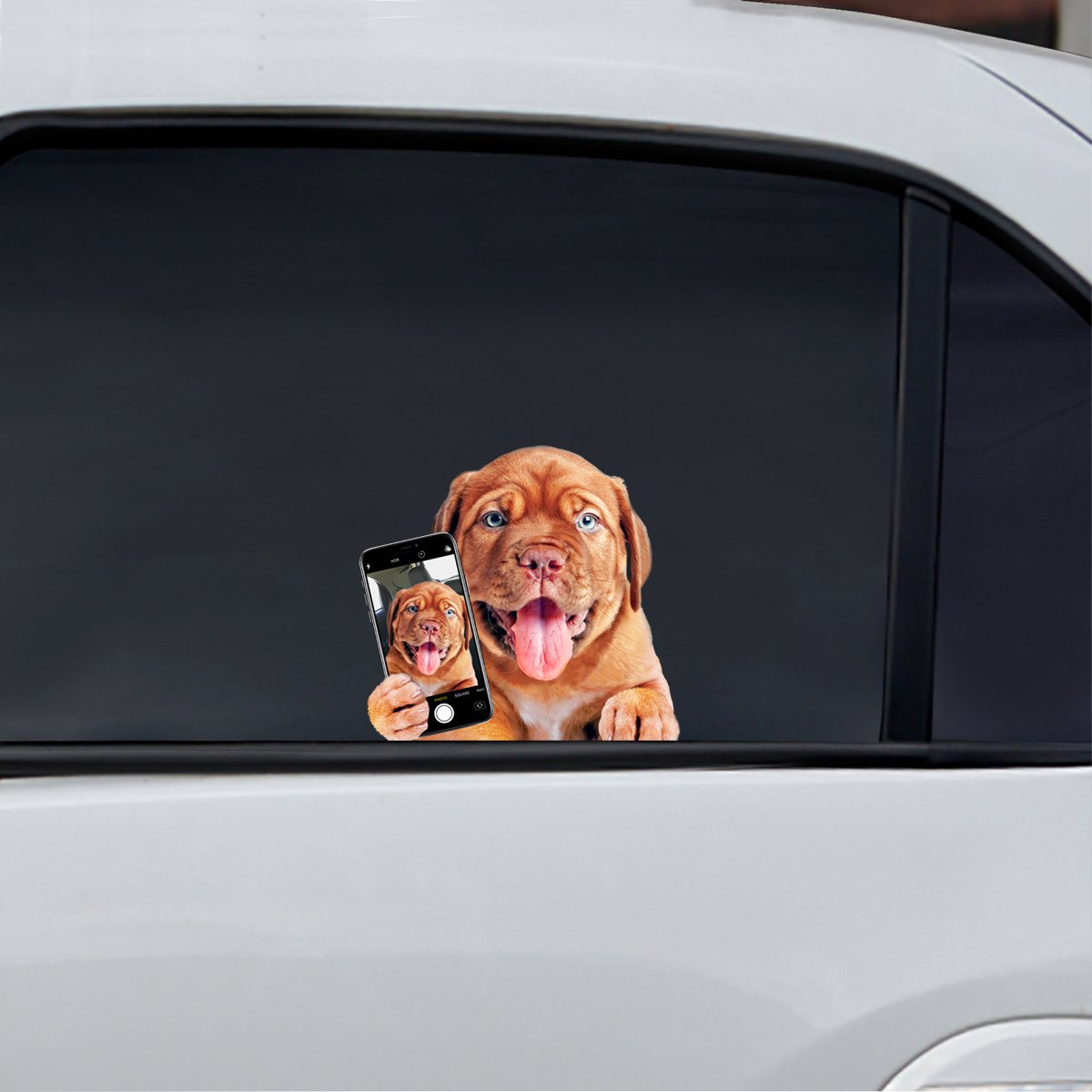 Do You Like My Selfie - Dogue De Bordeaux Car/ Door/ Fridge/ Laptop Sticker V1
