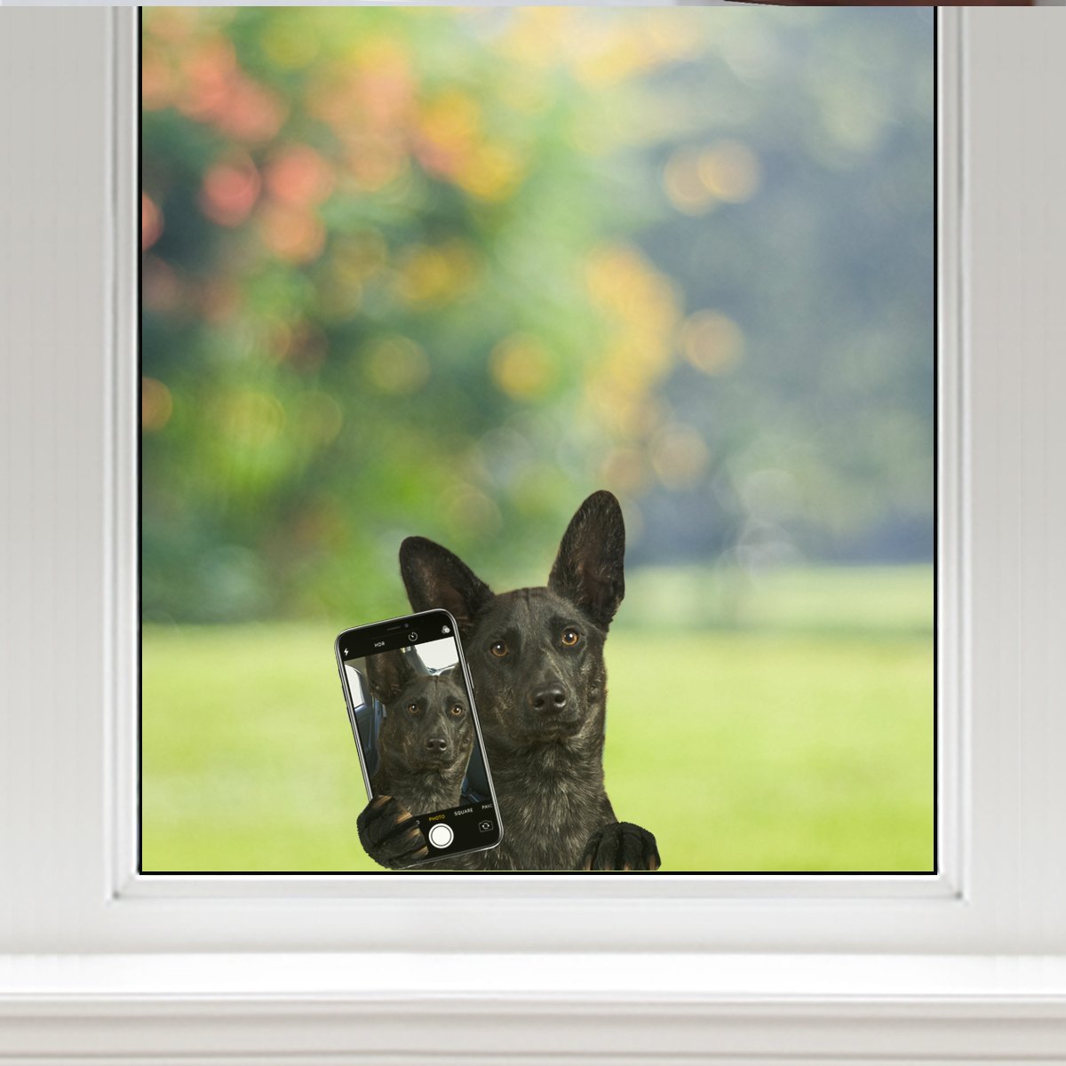Do You Like My Selfie - Dutch Shepherd Car/ Door/ Fridge/ Laptop Sticker V1