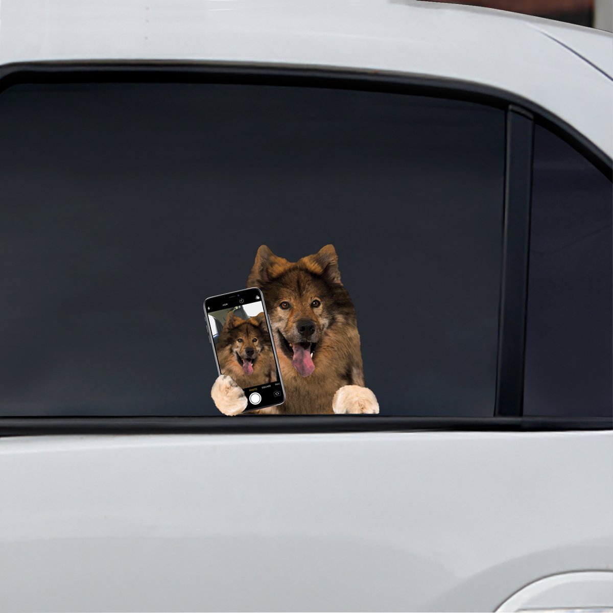 Do You Like My Selfie - Eurasier Car/ Door/ Fridge/ Laptop Sticker V1
