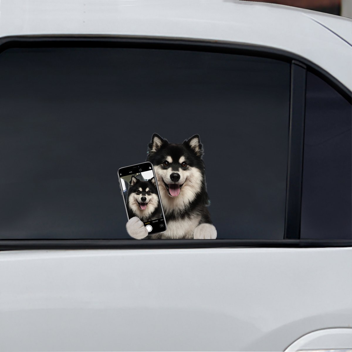 Do You Like My Selfie - Finnish Lapphund Car/ Door/ Fridge/ Laptop Sticker V1