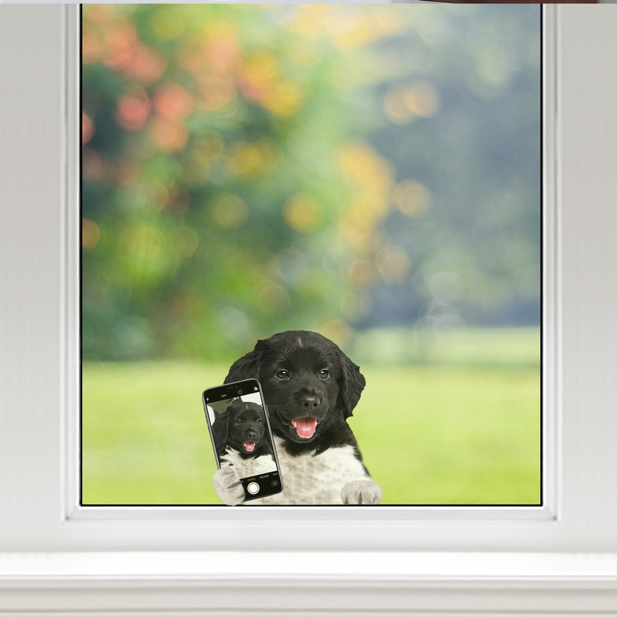 Do You Like My Selfie - Friese Stabij Car/ Door/ Fridge/ Laptop Sticker V1