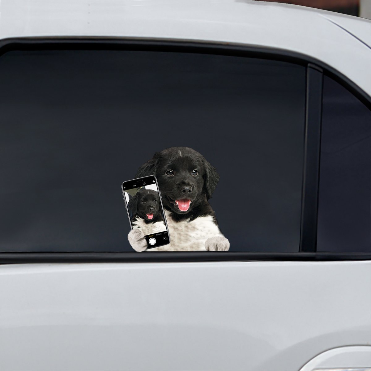 Do You Like My Selfie - Friese Stabij Car/ Door/ Fridge/ Laptop Sticker V1