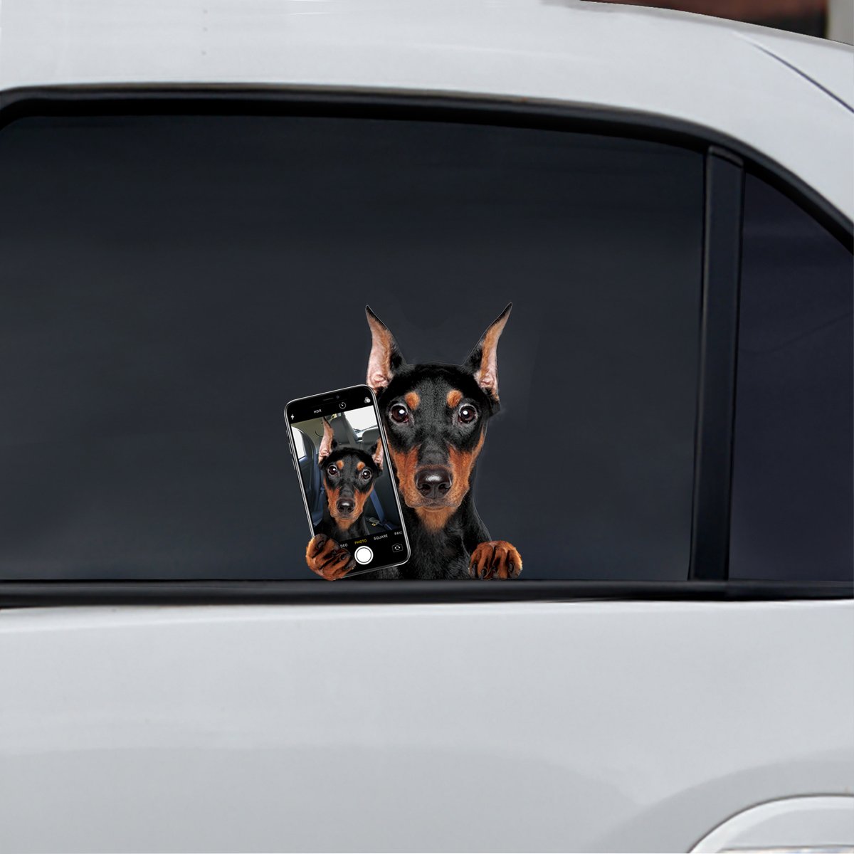 Do You Like My Selfie - German Pinscher Car/ Door/ Fridge/ Laptop Sticker V1