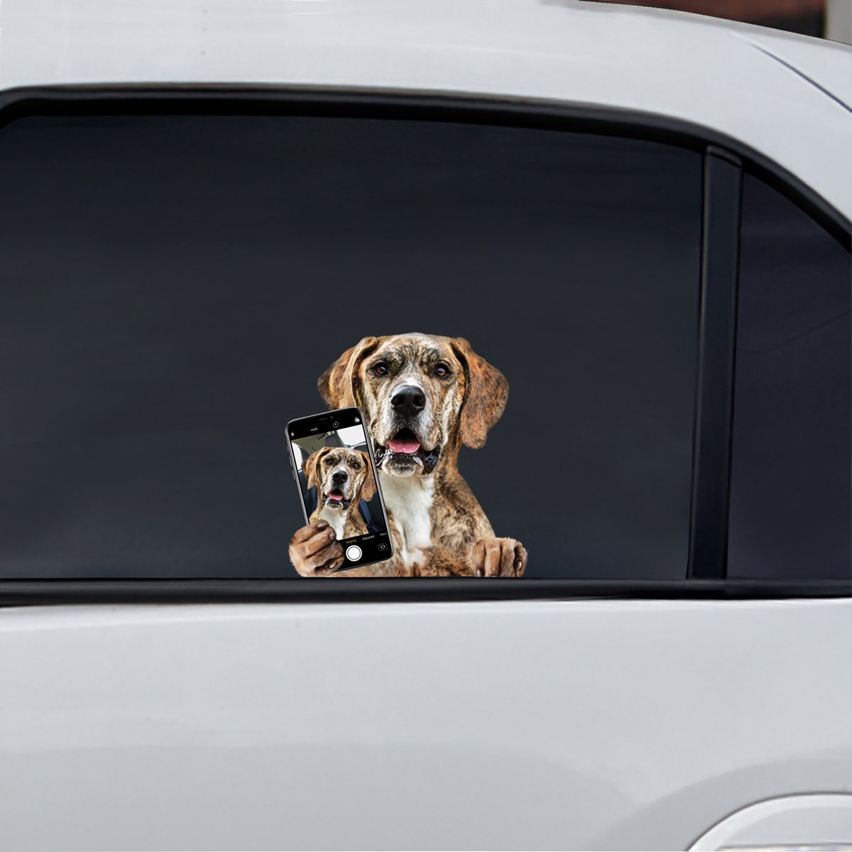 Do You Like My Selfie - Great Dane Car/ Door/ Fridge/ Laptop Sticker V1