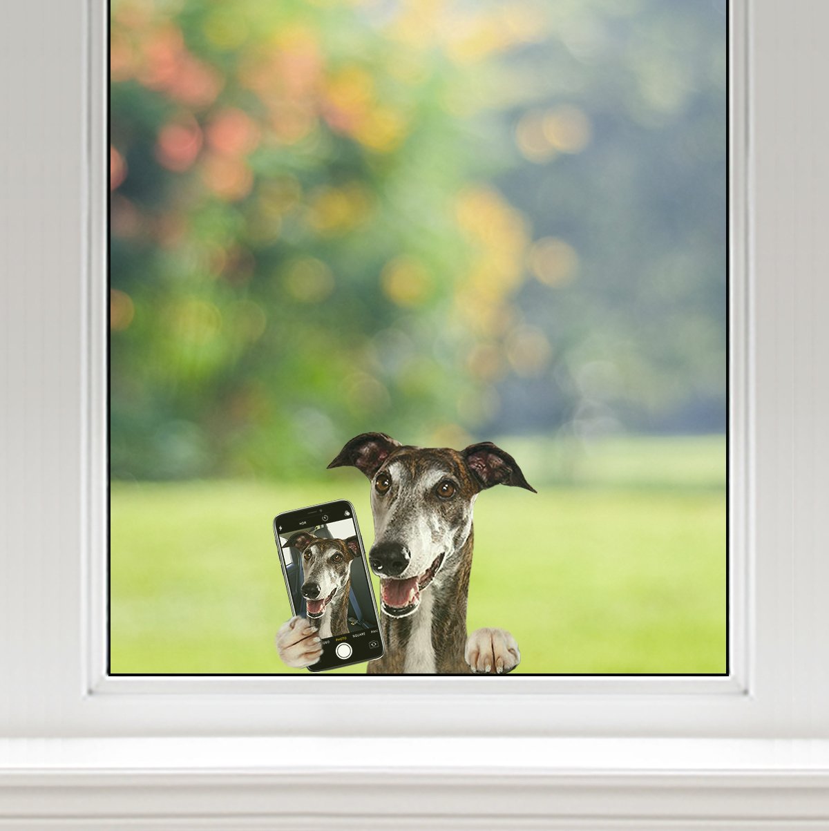 Do You Like My Selfie - Greyhound Car/ Door/ Fridge/ Laptop Sticker V1