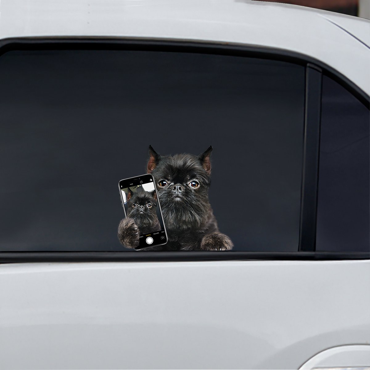Do You Like My Selfie - Griffon Bruxellois Car/ Door/ Fridge/ Laptop Sticker V1