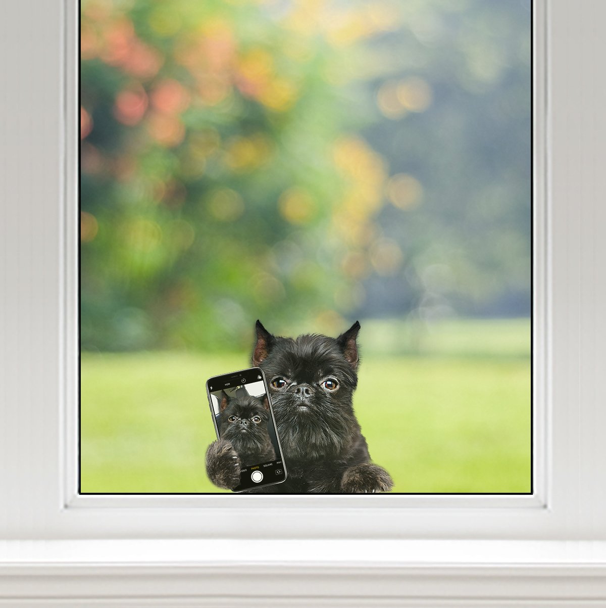 Do You Like My Selfie - Griffon Bruxellois Car/ Door/ Fridge/ Laptop Sticker V1