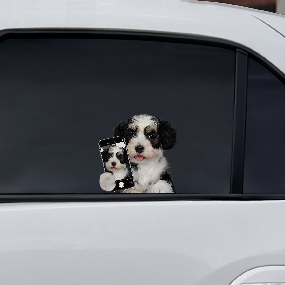 Do You Like My Selfie - Havanese Car/ Door/ Fridge/ Laptop Sticker V1