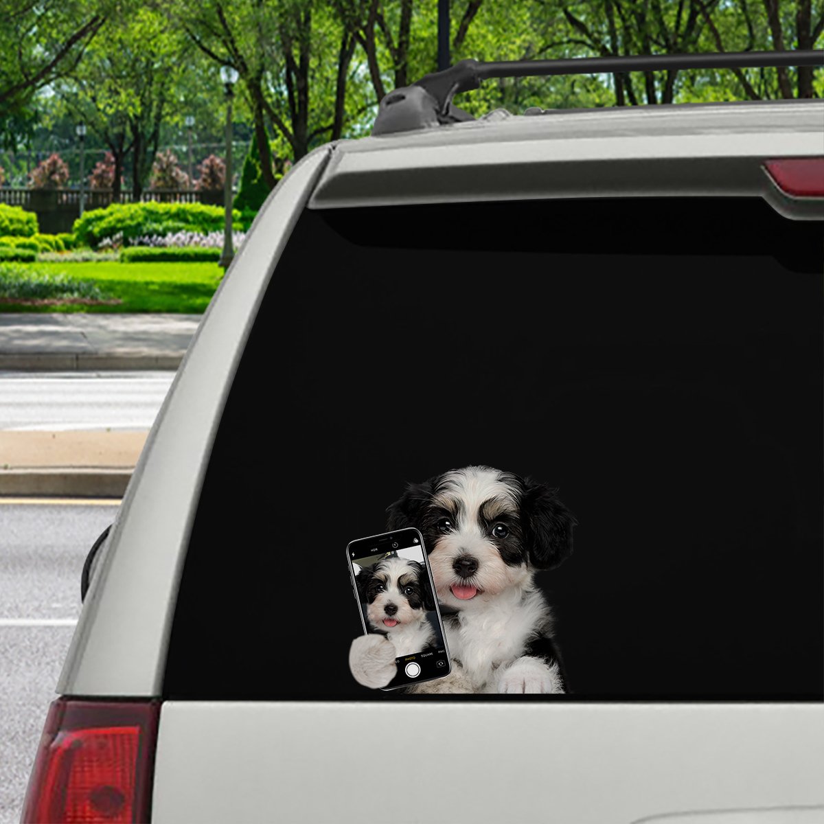 Do You Like My Selfie - Havanese Car/ Door/ Fridge/ Laptop Sticker V1