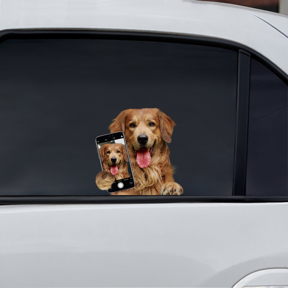 Do You Like My Selfie - Hovawart Car/ Door/ Fridge/ Laptop Sticker V1