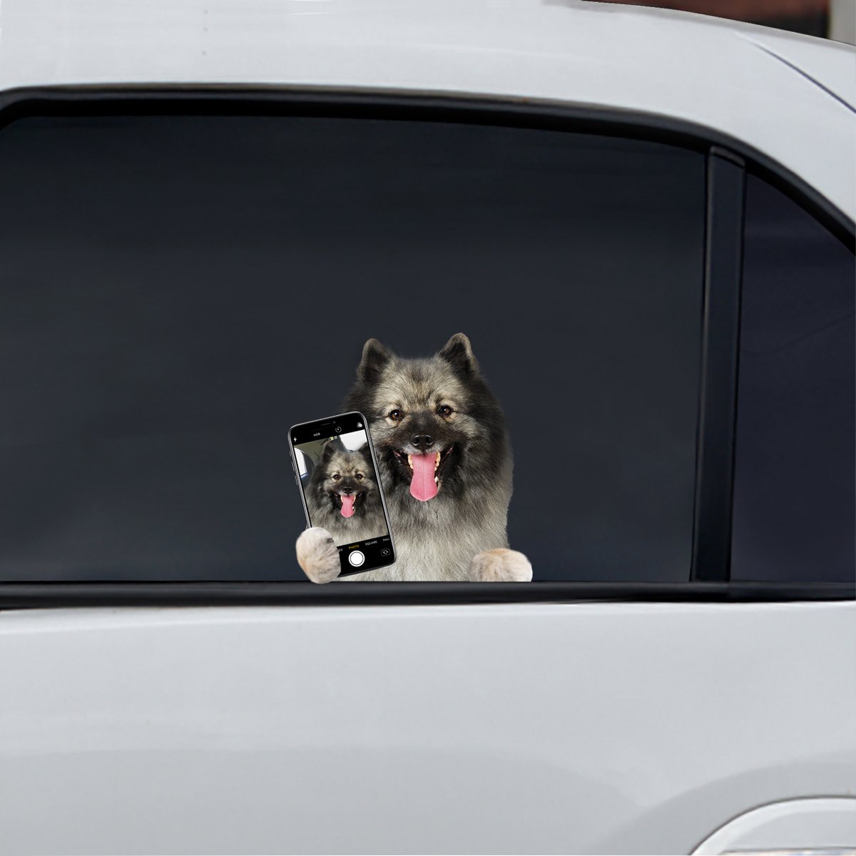 Do You Like My Selfie - Keeshond Car/ Door/ Fridge/ Laptop Sticker V1