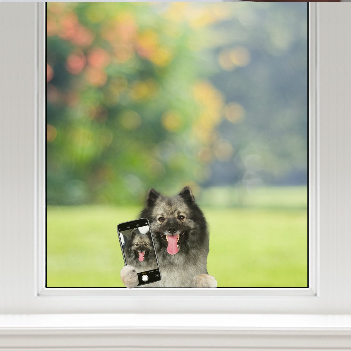 Do You Like My Selfie - Keeshond Car/ Door/ Fridge/ Laptop Sticker V1