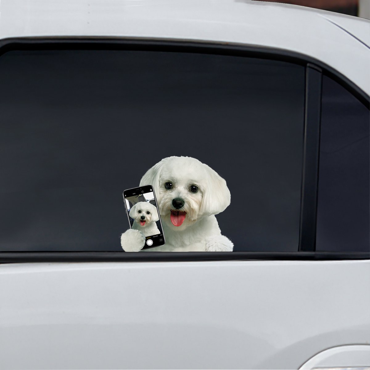 Do You Like My Selfie - Maltese Car/ Door/ Fridge/ Laptop Sticker V1