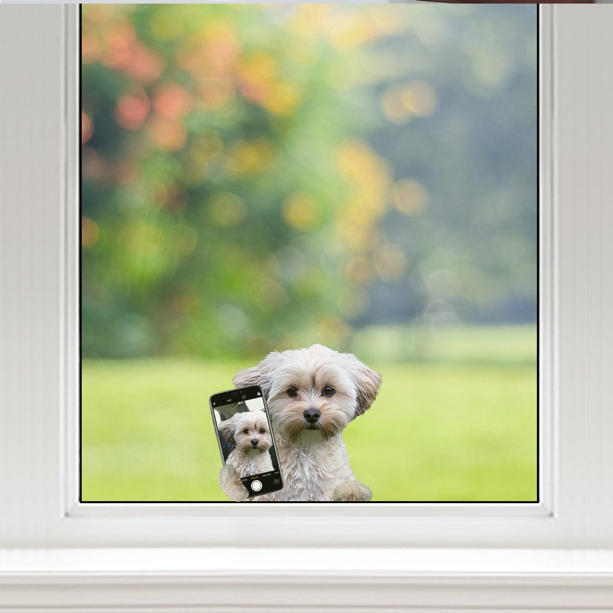 Do You Like My Selfie - Morkie Car/ Door/ Fridge/ Laptop Sticker V1