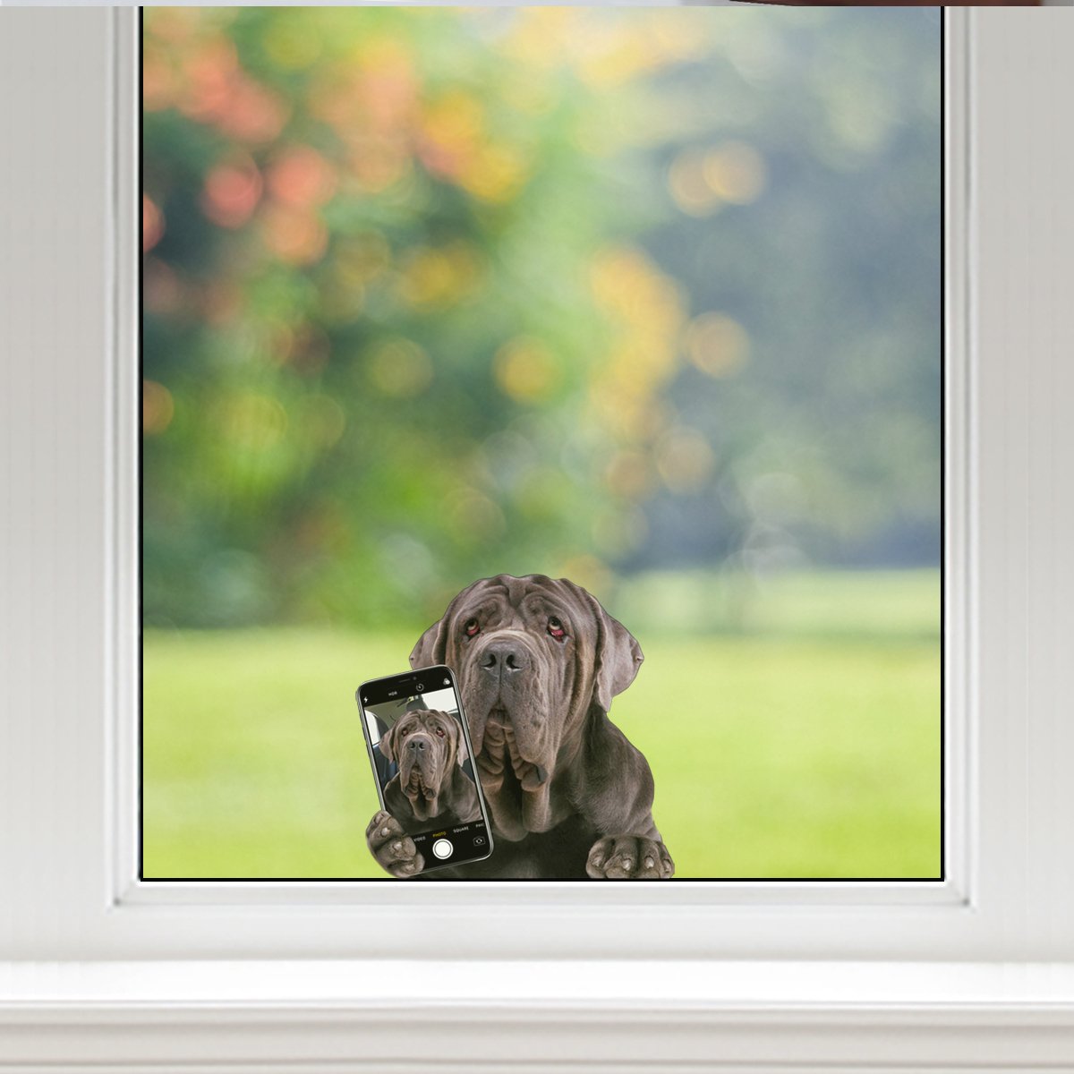 Do You Like My Selfie - Neapolitan Mastiff Car/ Door/ Fridge/ Laptop Sticker V1