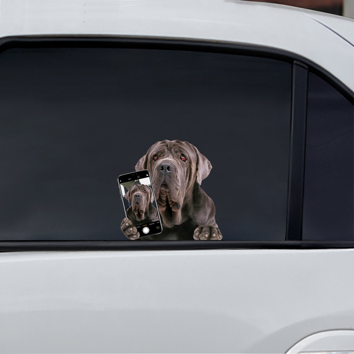 Do You Like My Selfie - Neapolitan Mastiff Car/ Door/ Fridge/ Laptop Sticker V1