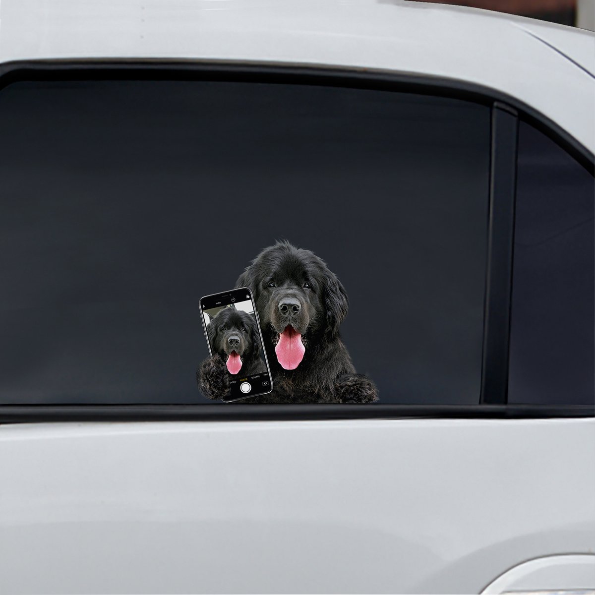 Do You Like My Selfie - Newfoundland Car/ Door/ Fridge/ Laptop Sticker V1