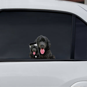Do You Like My Selfie - Newfoundland Car/ Door/ Fridge/ Laptop Sticker V1