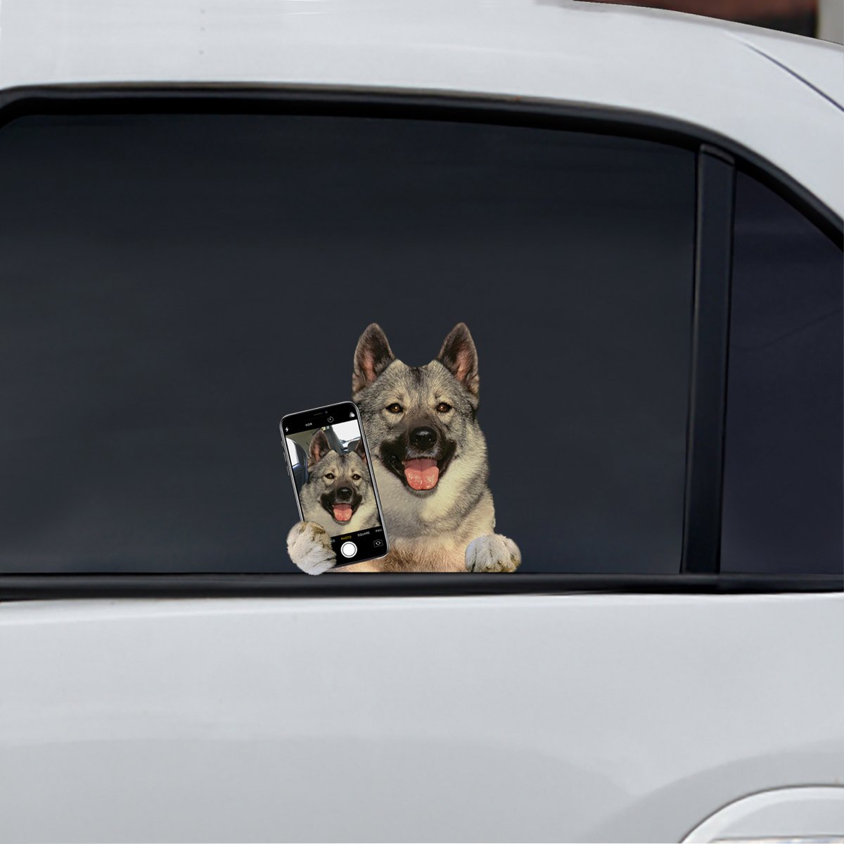 Do You Like My Selfie - Norwegian Elkhound Car/ Door/ Fridge/ Laptop Sticker V1