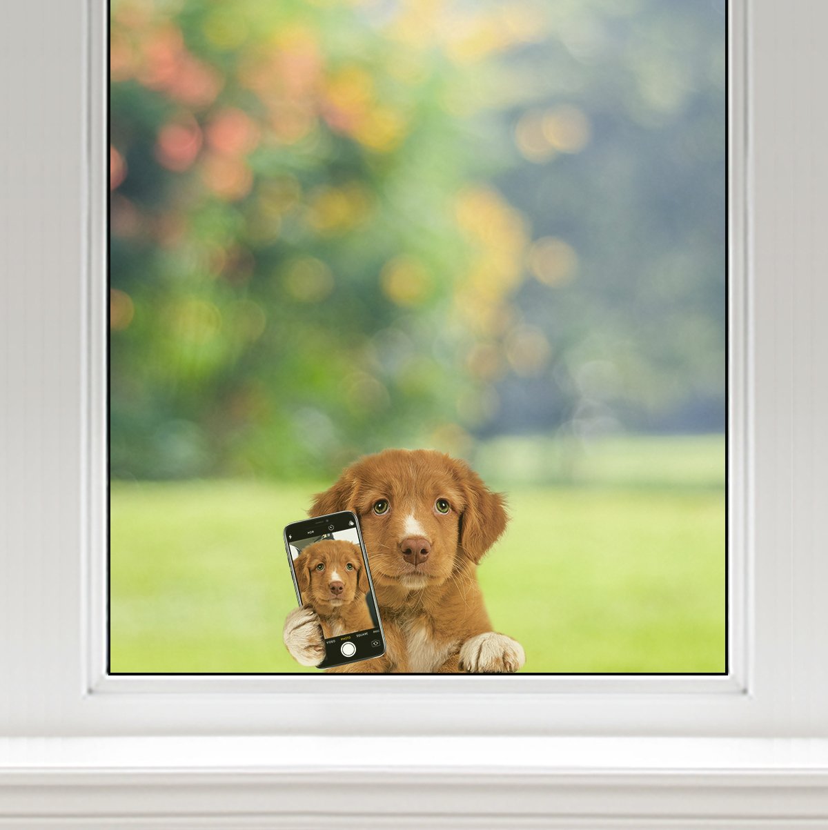 Do You Like My Selfie - Nova Scotia Duck Tolling Retriever Car/ Door/ Fridge/ Laptop Sticker V1