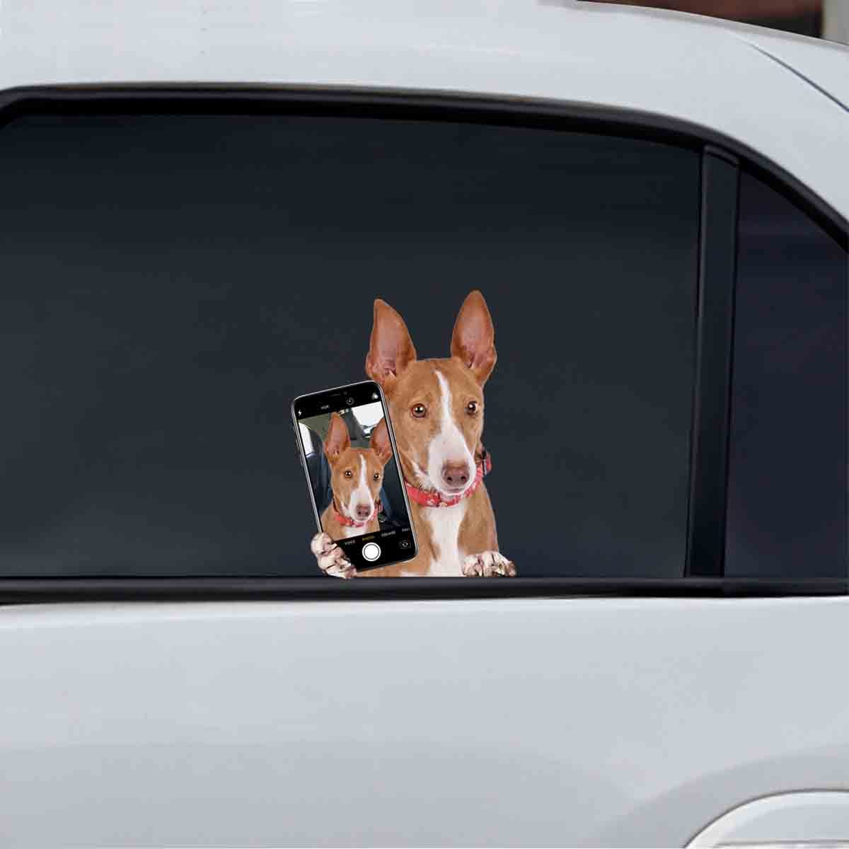 Do You Like My Selfie - Podenco Canario Car/ Door/ Fridge/ Laptop Sticker V1
