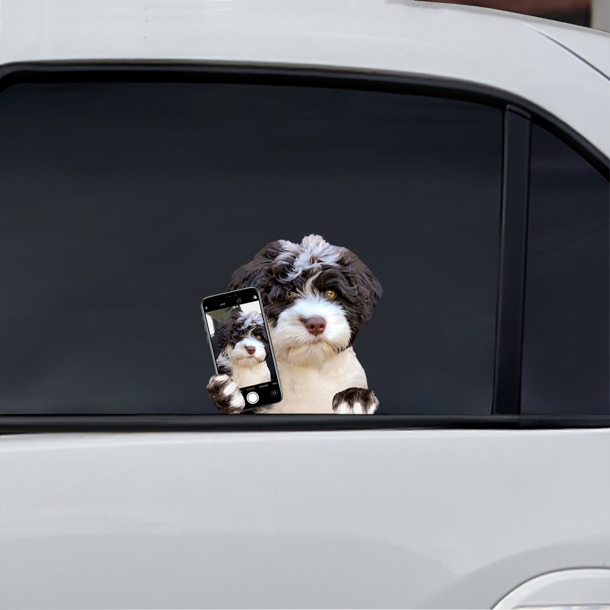 Do You Like My Selfie - Portuguese Water Car/ Door/ Fridge/ Laptop Sticker V1