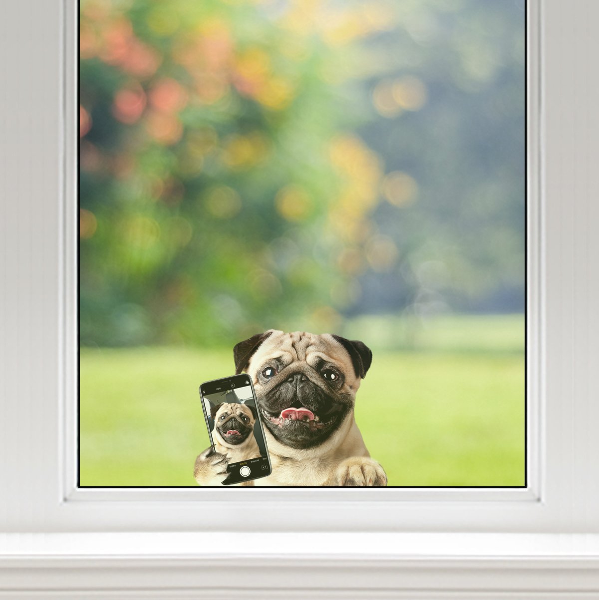 Do You Like My Selfie - Pug Car/ Door/ Fridge/ Laptop Sticker V1