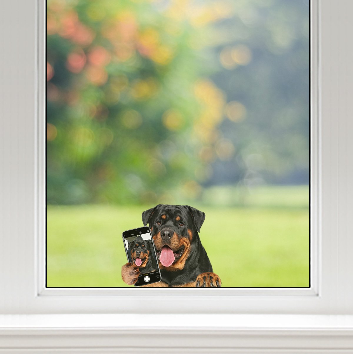 Do You Like My Selfie - Rottweiler Car/ Door/ Fridge/ Laptop Sticker V1