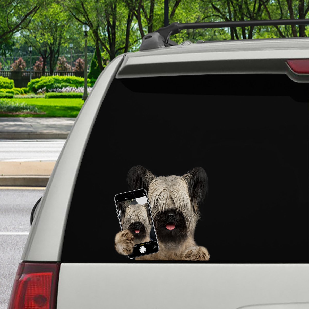 Do You Like My Selfie - Skye Terrier Car/ Door/ Fridge/ Laptop Sticker V1