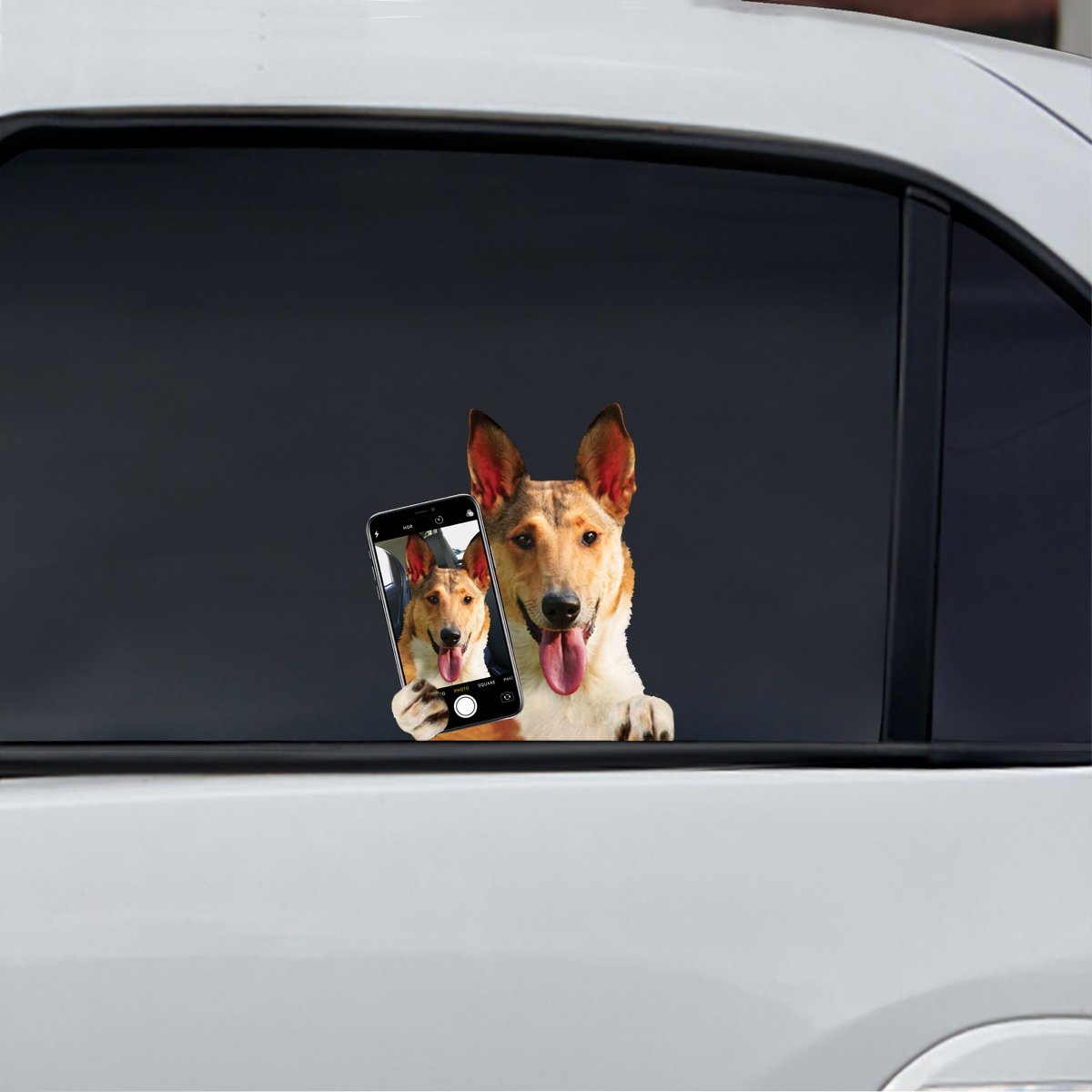 Do You Like My Selfie - Smooth Collie Car/ Door/ Fridge/ Laptop Sticker V1